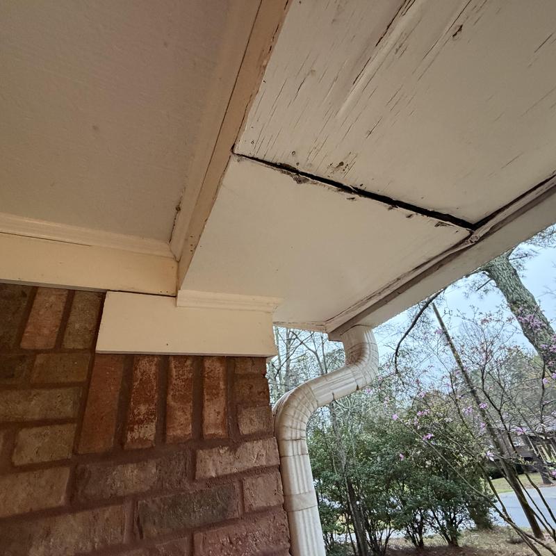 Wood fascia soffit with rot and gutter downspout