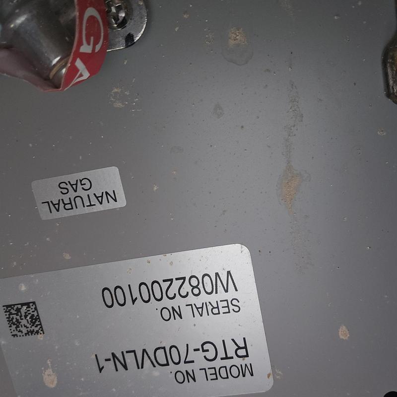 Rheem tankless water heater igniter coil replacement