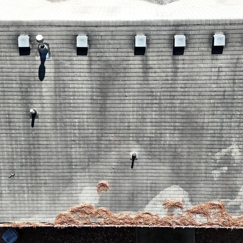 Roof shingles with leaf debris buildup along edge
