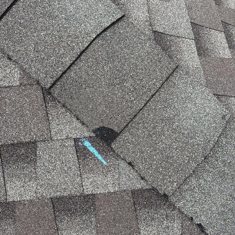 Asphalt roof shingles with hail damage marked in blue