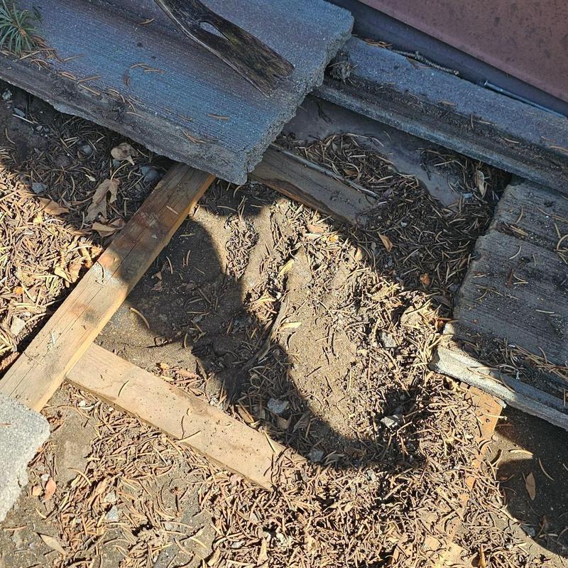 Roof tile removal exposing deteriorated underlayment and wood battens Roof tile removal exposing deteriorated underlayment and wood battens