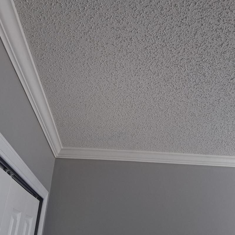 Textured ceiling with crown molding and gray walls