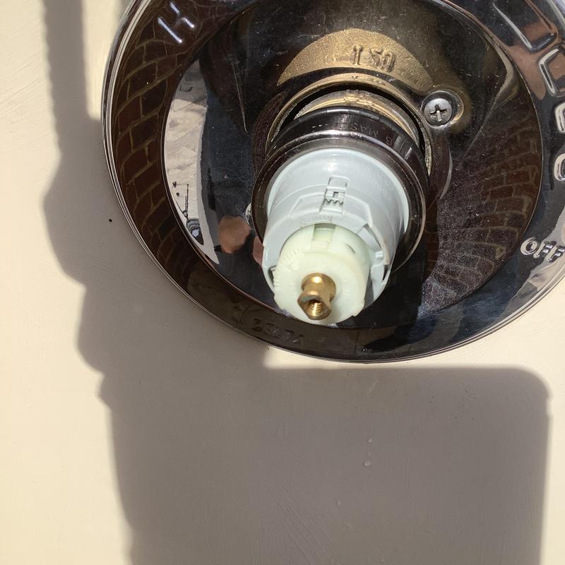 Shower valve cartridge in chrome trim plate