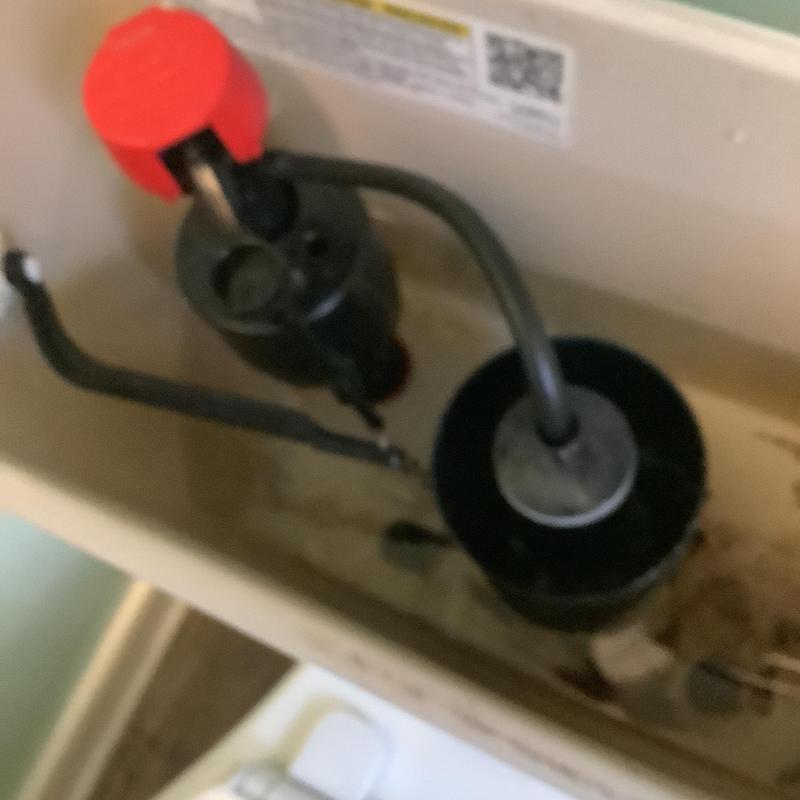 Kohler toilet fill valve and flush valve assembly