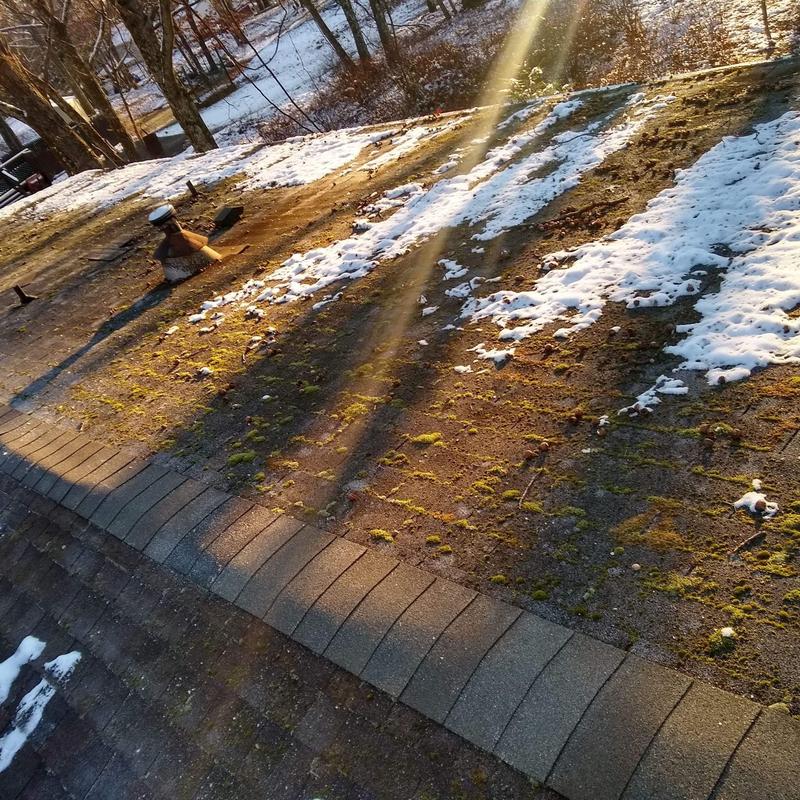 Roof shingles with moss and snow patches on slope