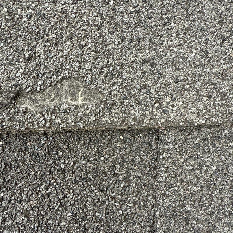 Asphalt shingle roof with damaged granule wear spot