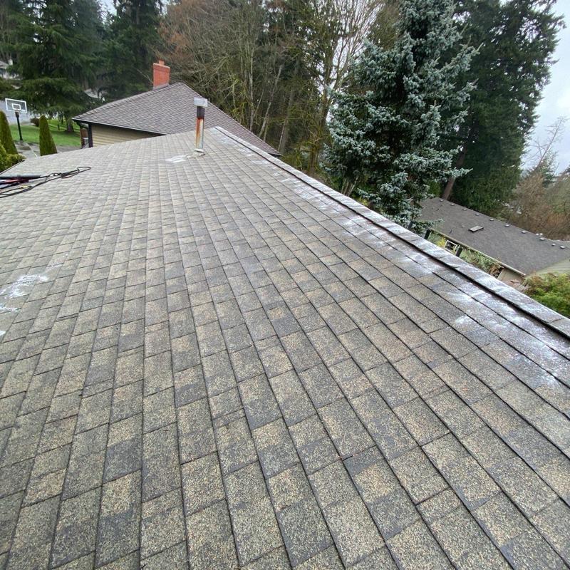 Asphalt shingle roof with moss treatment marks