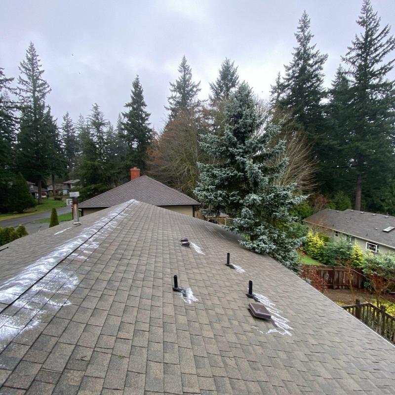 Roof shingles with moss treatment application