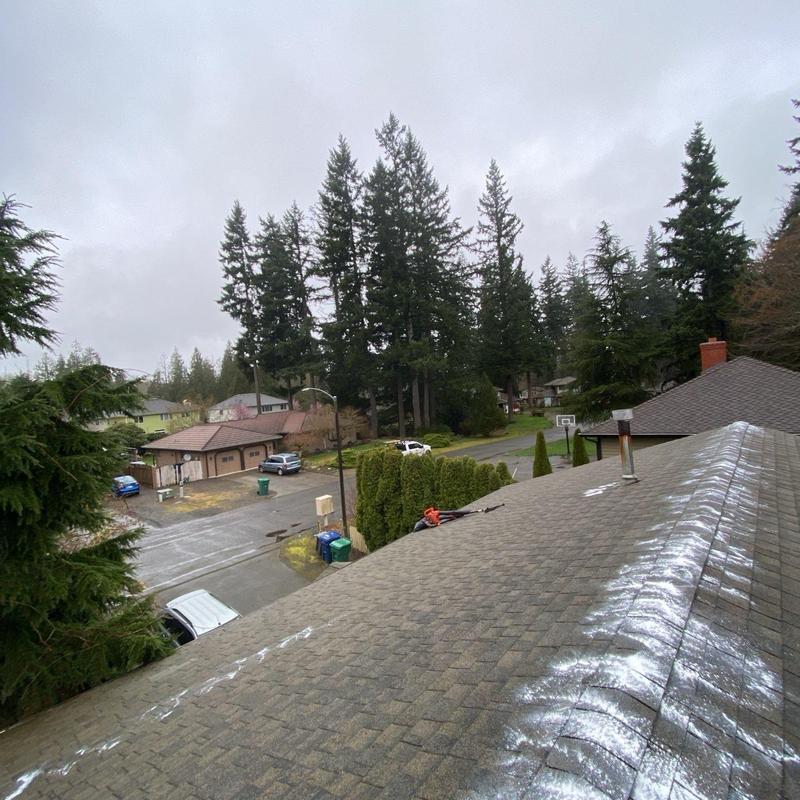 Roof shingles with moss treatment application
