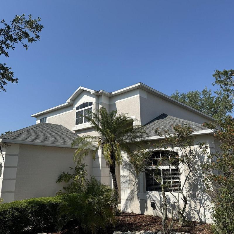 Atlas Pinnacle Pristine shingle roof replacement with palm trees