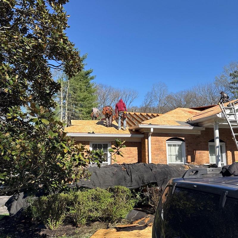 Roof decking replacement on damaged brick home