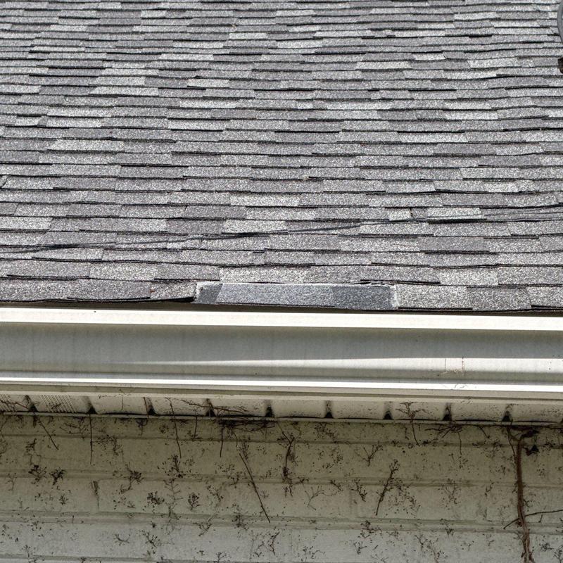 Asphalt shingles with granule loss near gutter edge