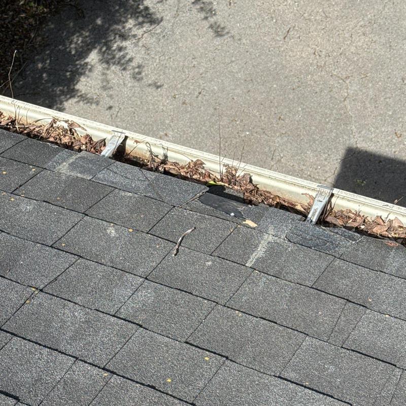 Roof shingles with damage near gutter buildup