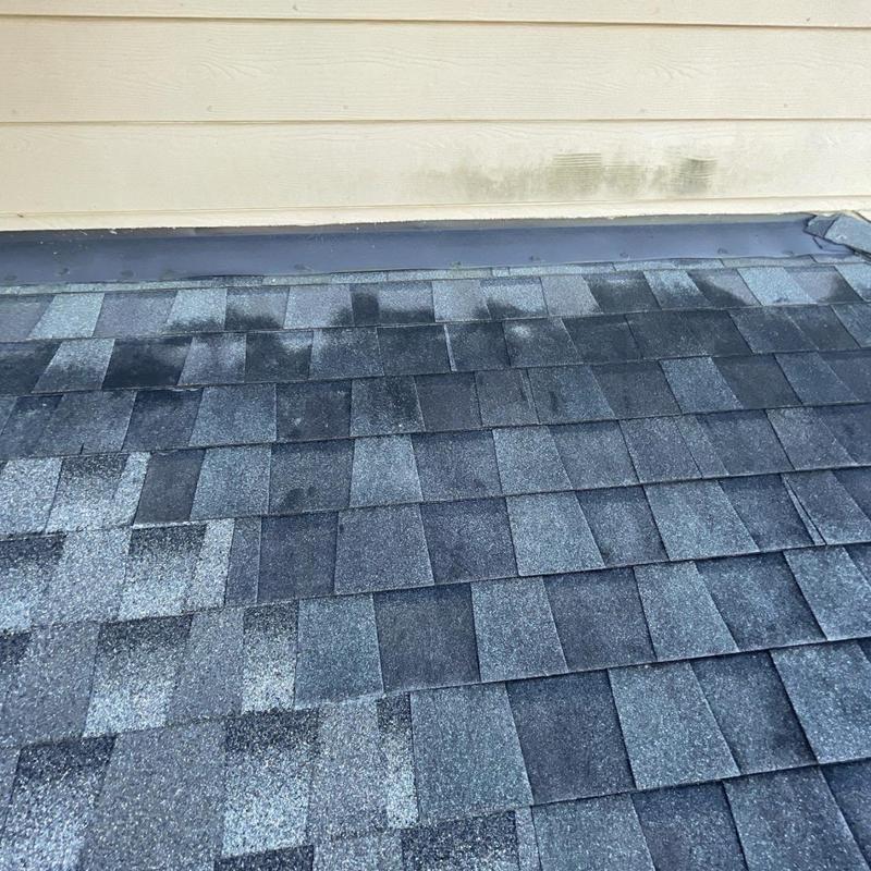 Roof shingles with algae growth near wall flashing