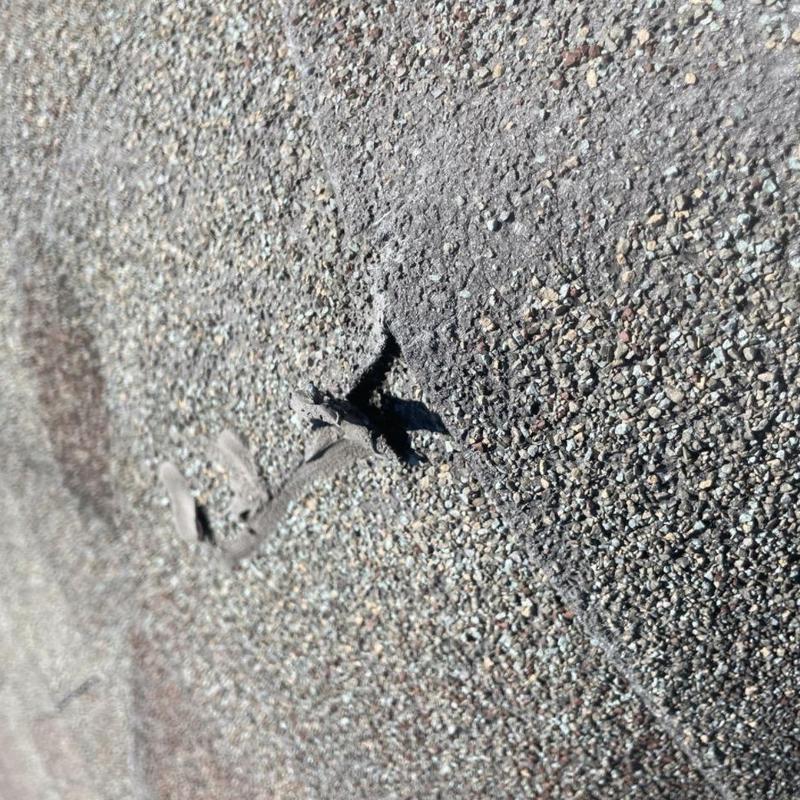 Asphalt shingle with damaged granules and cracks