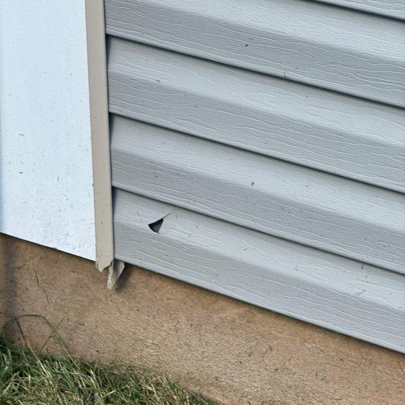 Vinyl siding hole near foundation corner panel