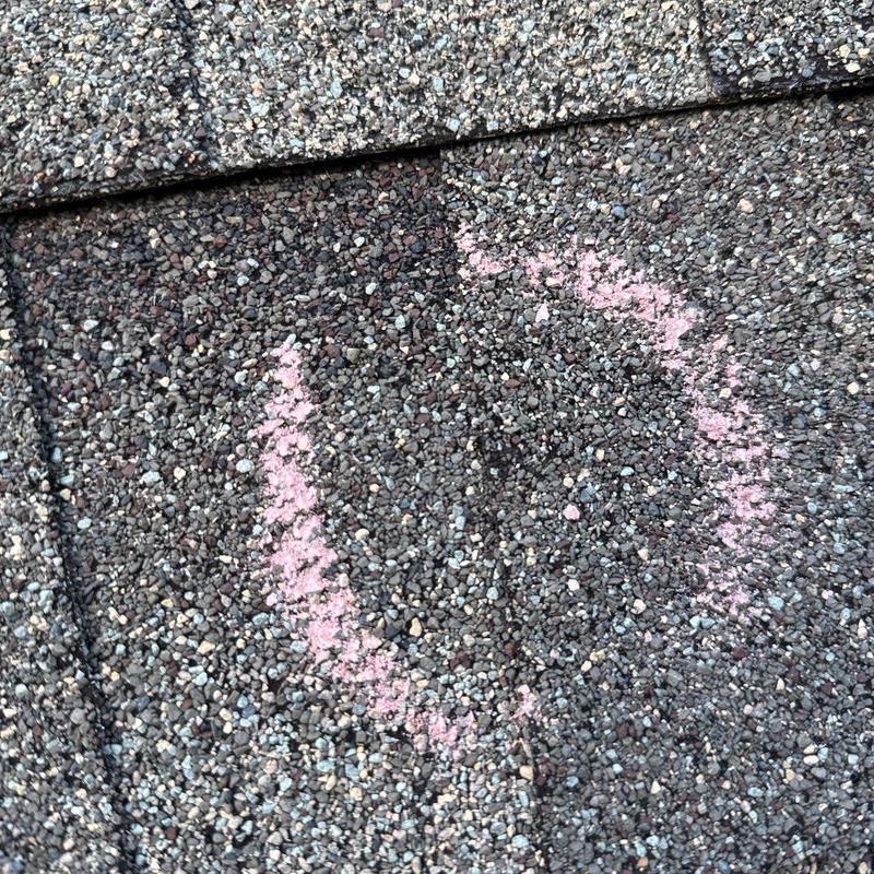 Asphalt shingle hail damage marked with pink chalk
