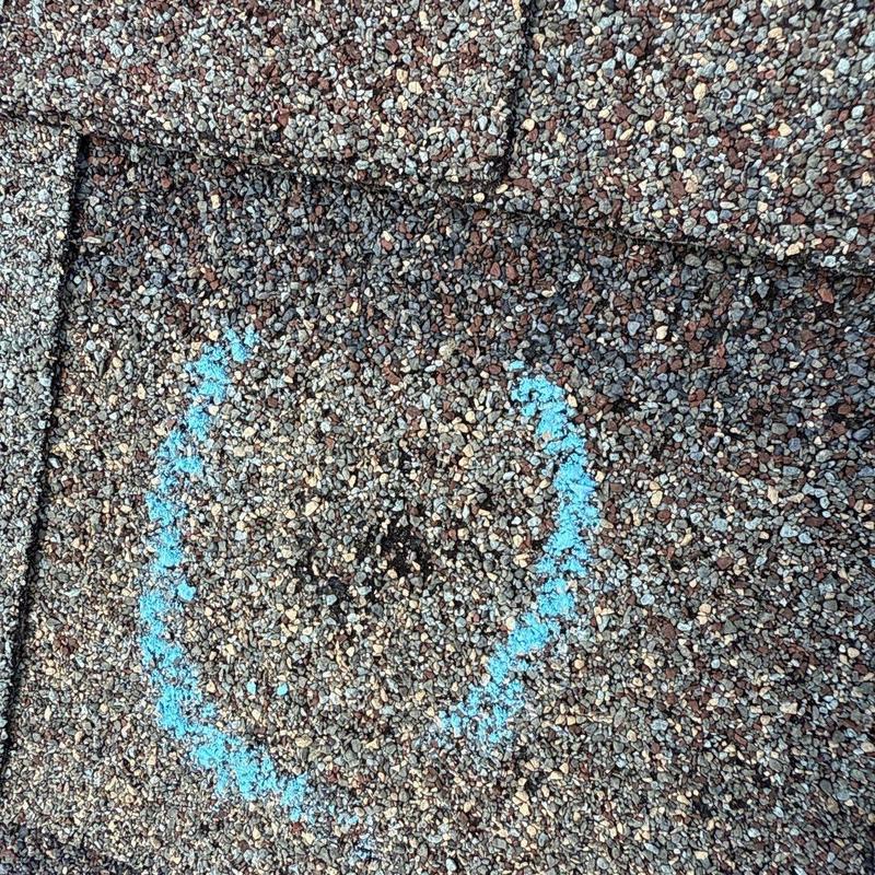 Asphalt shingles with hail damage marked in blue