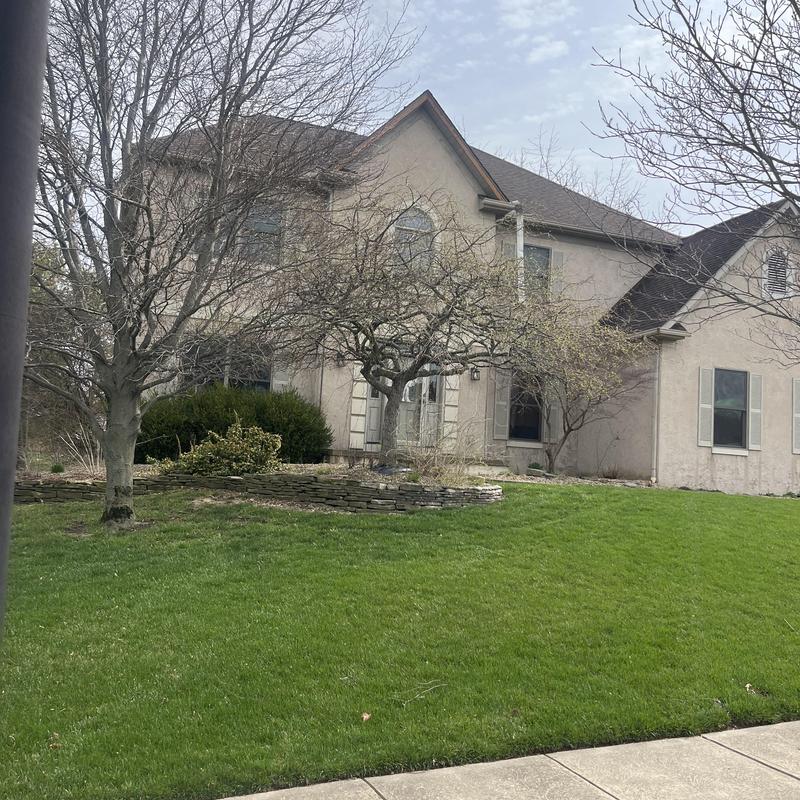 Fascia on house exterior with roof and trees Fascia on house exterior with roof and trees