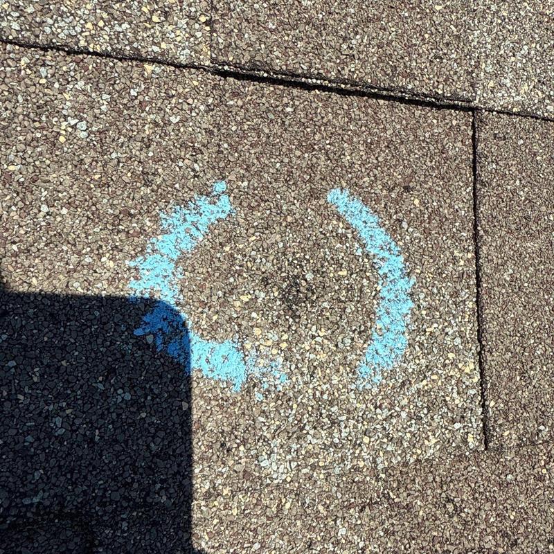 Shingle hail damage marked in blue chalk on roof