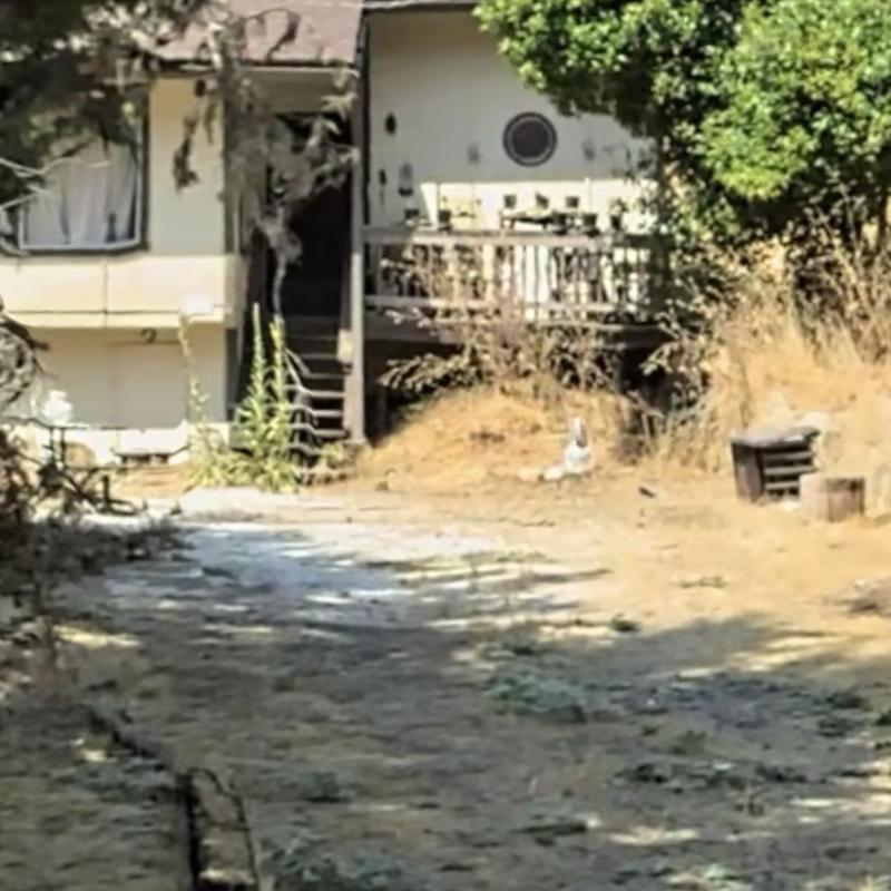 Roof with old shingles and dry yard in Groveland home