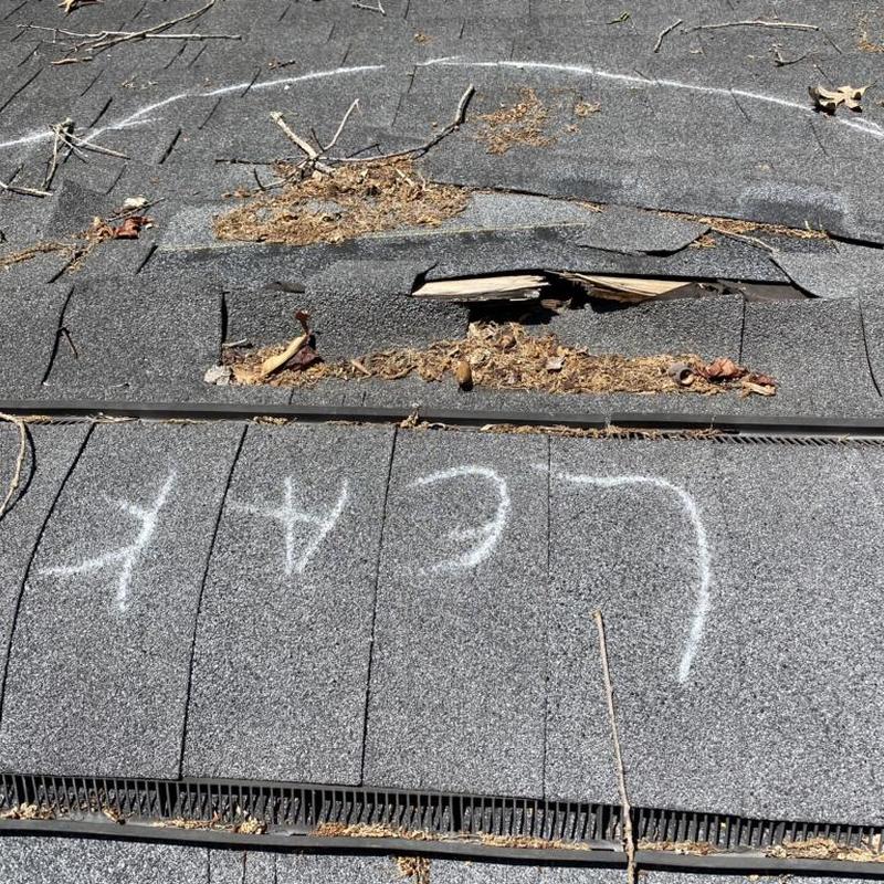 Roof shingles with structural damage and debris buildup Roof shingles with structural damage and debris buildup