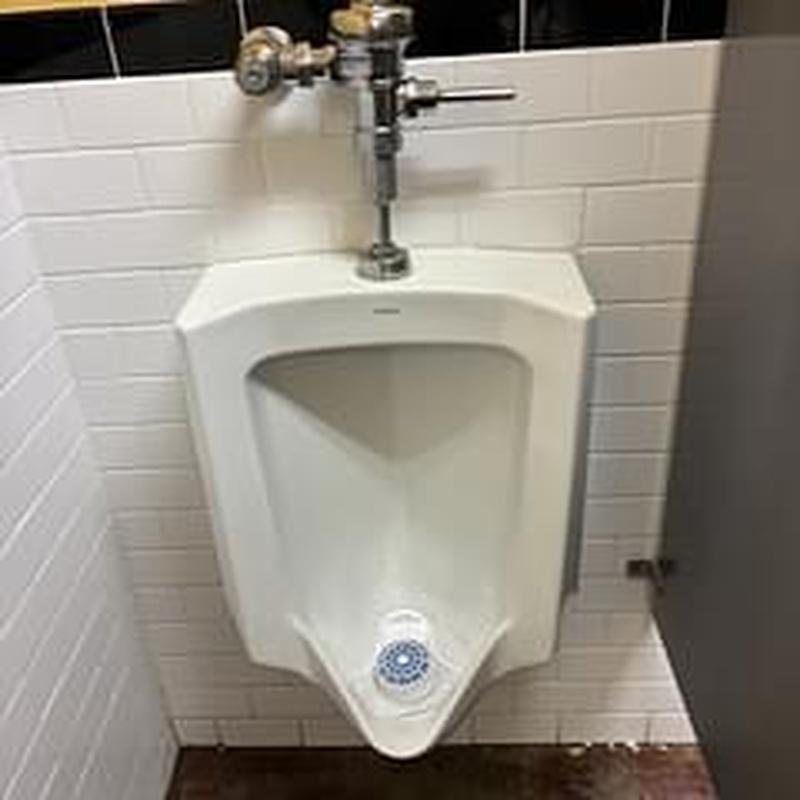 Urinal drain and fixture with flush valve descaling