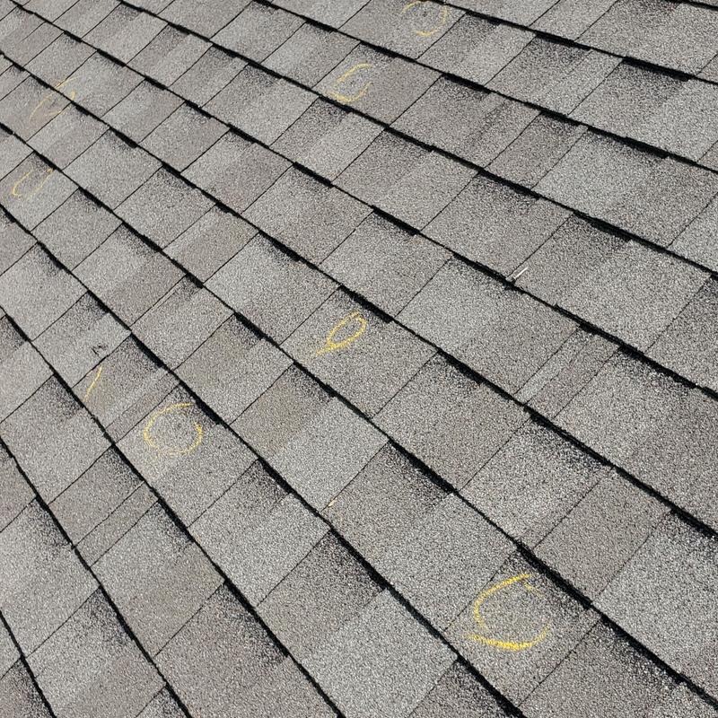 Asphalt shingle roof with hail impact markings