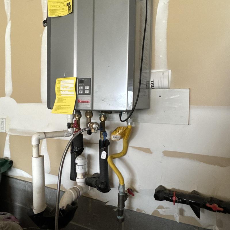 Tankless water heater with flush and service valves