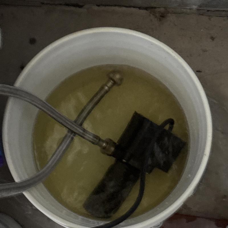 Tankless water heater flush bucket with hoses