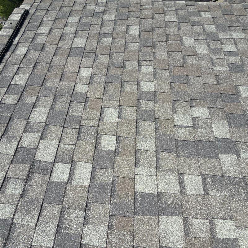 Asphalt shingle roof with visible hail damage spots