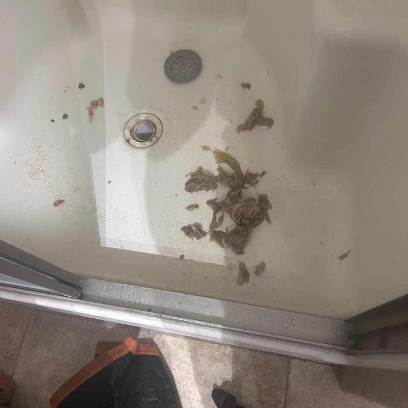 Shower drain with debris and cleaning residue Shower drain with debris and cleaning residue