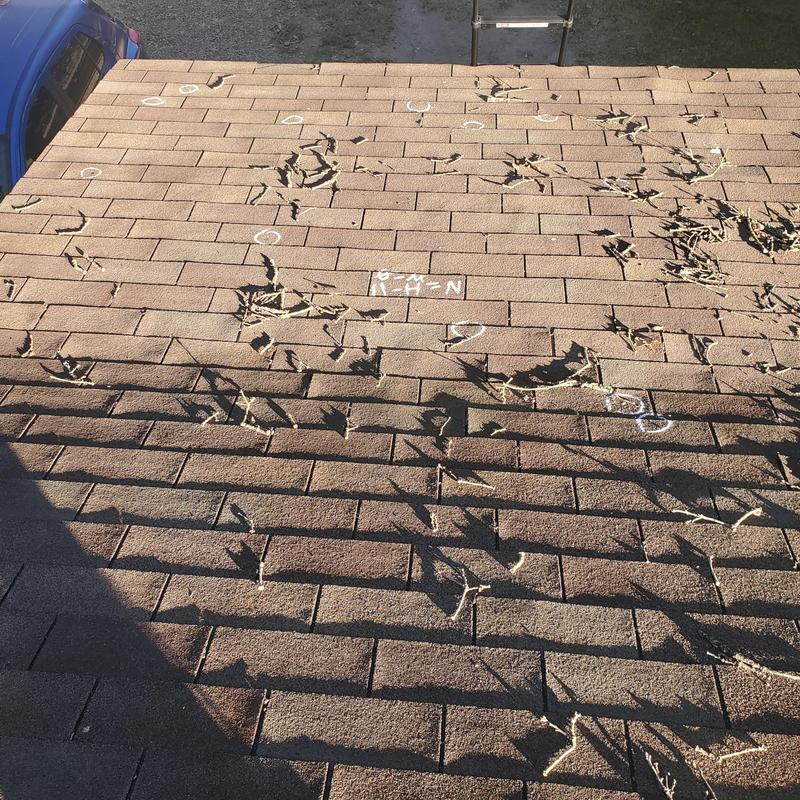 Asphalt shingle roof with hail impact damage marked