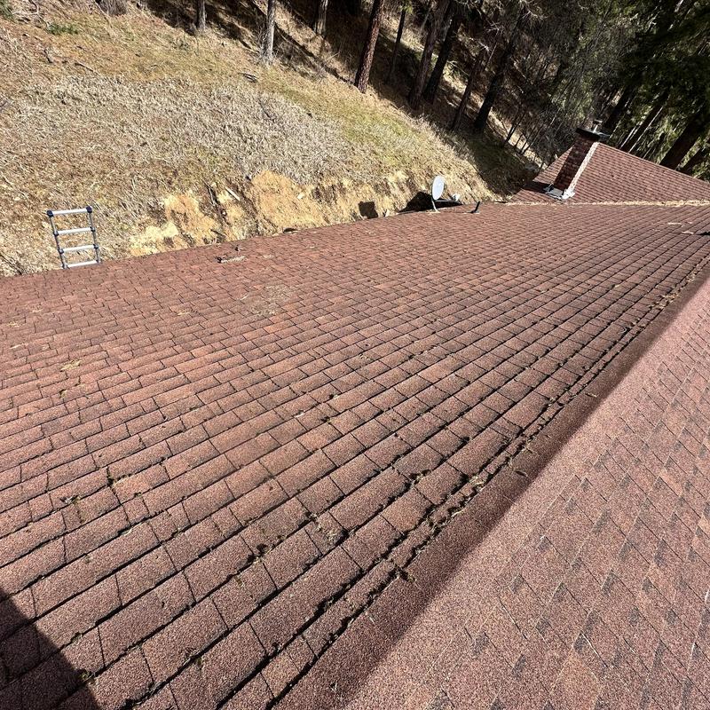 Asphalt shingle roof with visible wear and debris