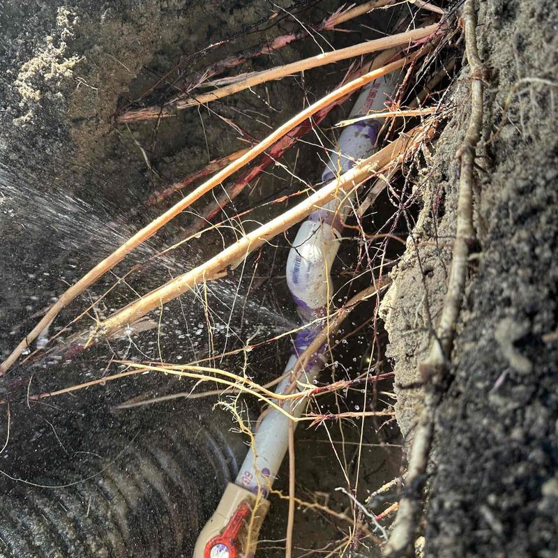 Underground PVC water pipe leaking beside roots Underground PVC water pipe leaking beside roots