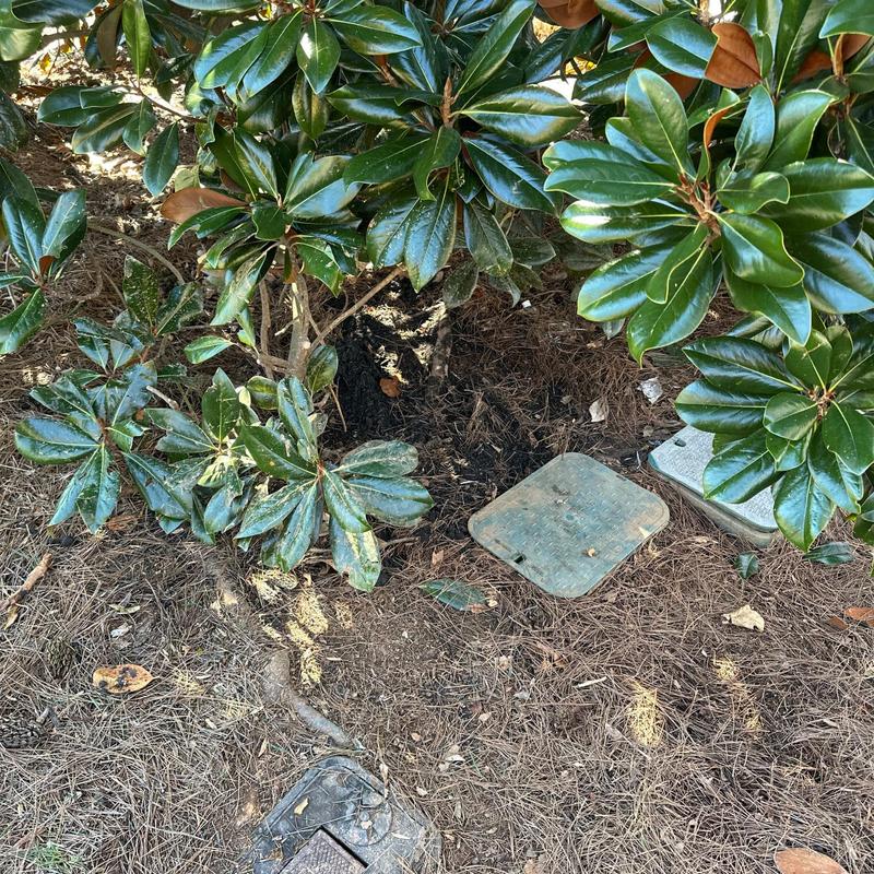 PVC pipe fittings excavation near shrubbery and valve covers PVC pipe fittings excavation near shrubbery and valve covers