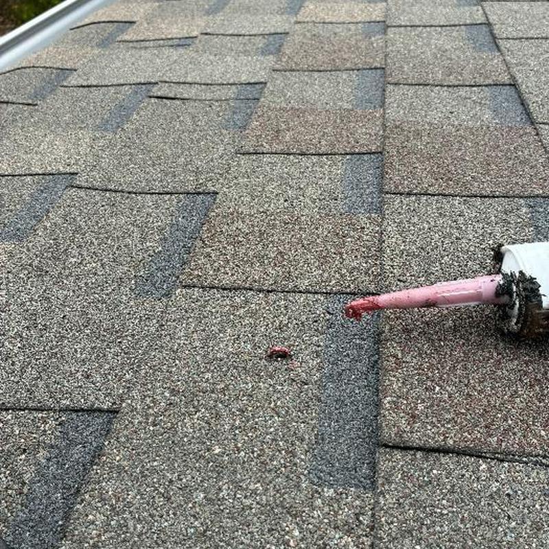 Roof shingles with sealant applicator on surface