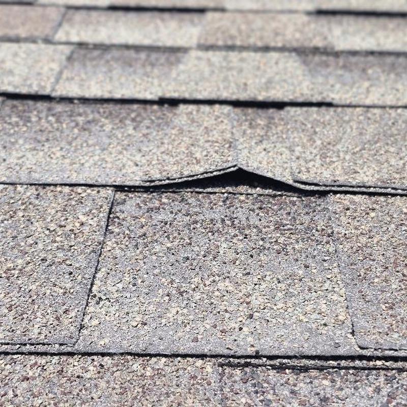 Asphalt shingles showing granular loss and lifting