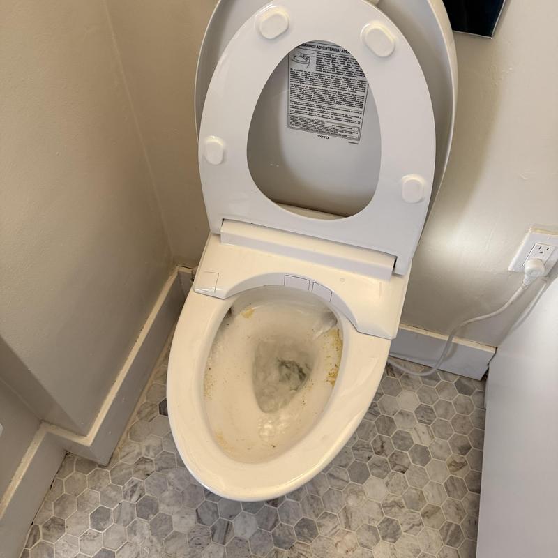 Toilet drain clearing with auger in residence bathroom