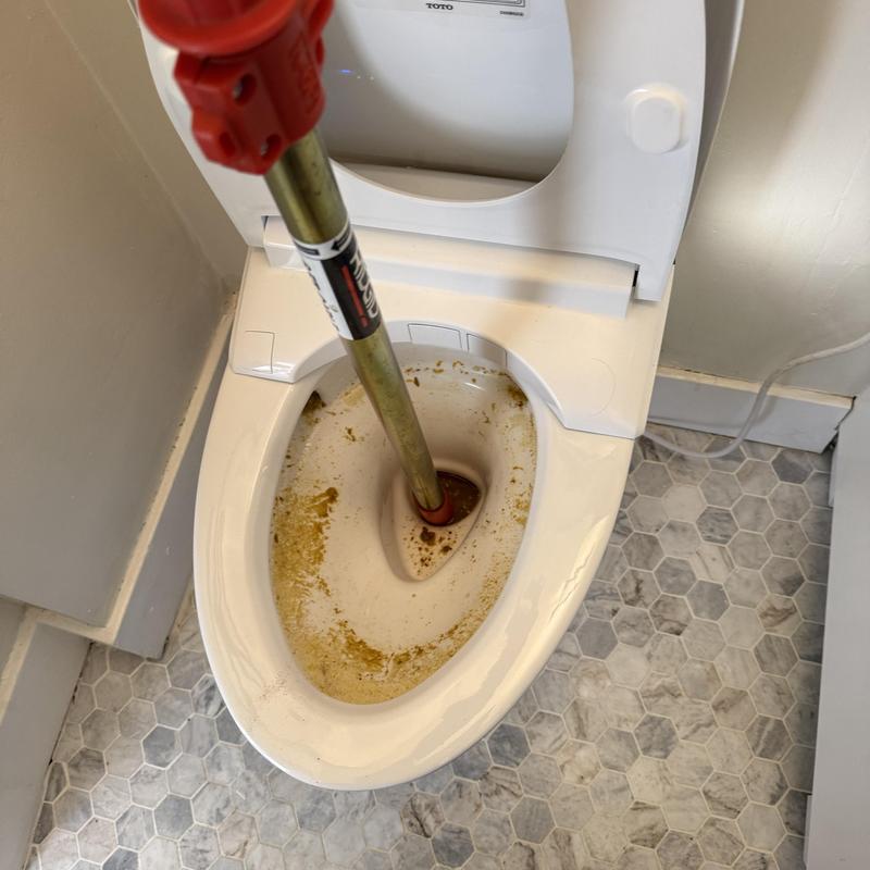 Toilet drain clog clearing with auger tool