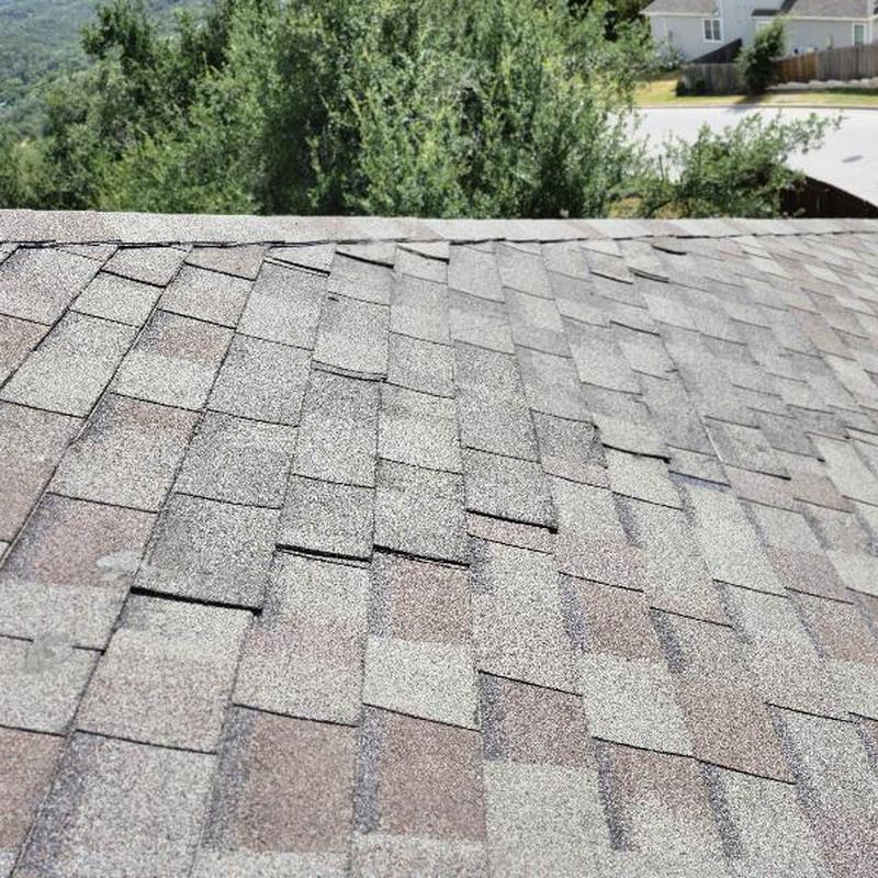 Asphalt shingle roof with raised, damaged shingles