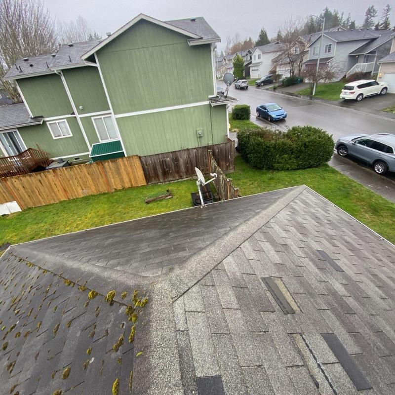Asphalt shingle roof with moss and wear spotting