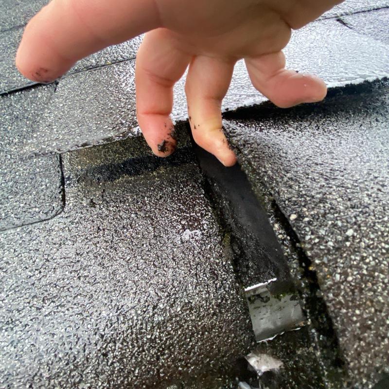 Asphalt shingle roof with lifted shingle inspection