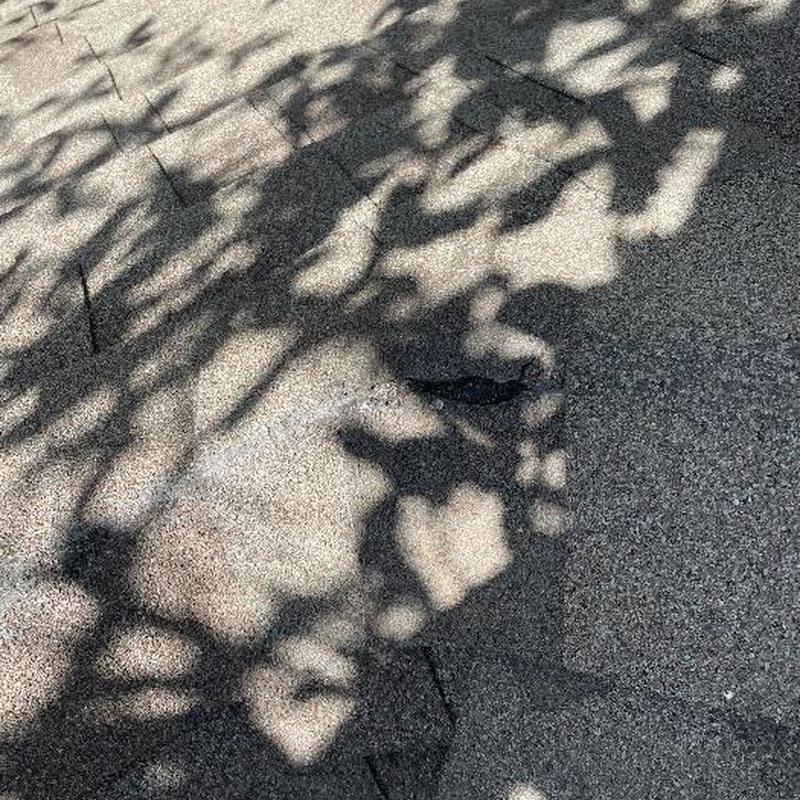 Roof shingles with visible damage and missing spots