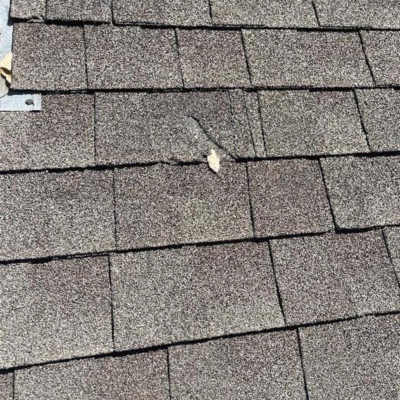Asphalt shingles with missing granules on roof surface