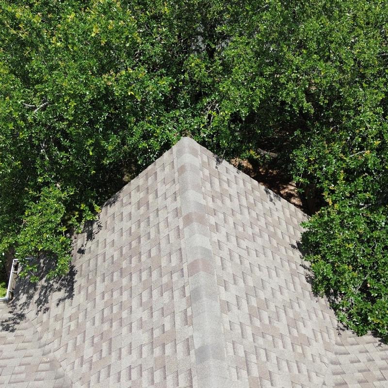 Roof vent replacement and tree branch trimming near roof