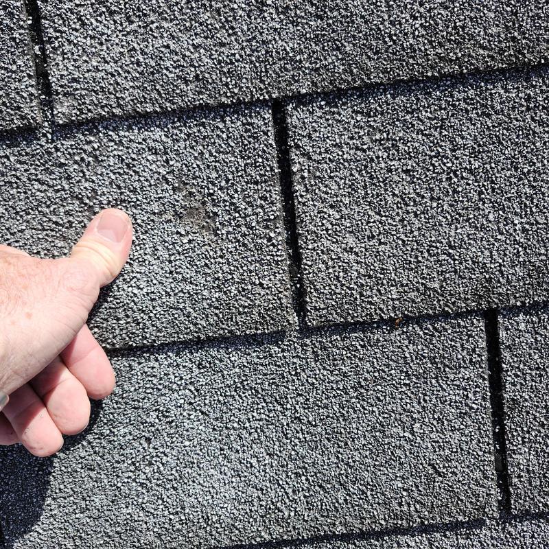 Asphalt shingle with hail damage during roof inspection Asphalt shingle with hail damage during roof inspection