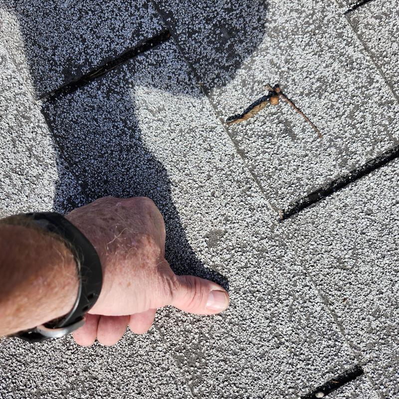 Asphalt shingles hail damage with inspection hand pointing Asphalt shingles hail damage with inspection hand pointing