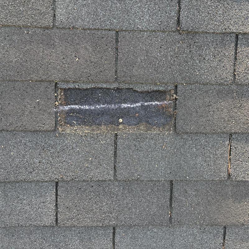 Roof shingle missing granules with nail exposed