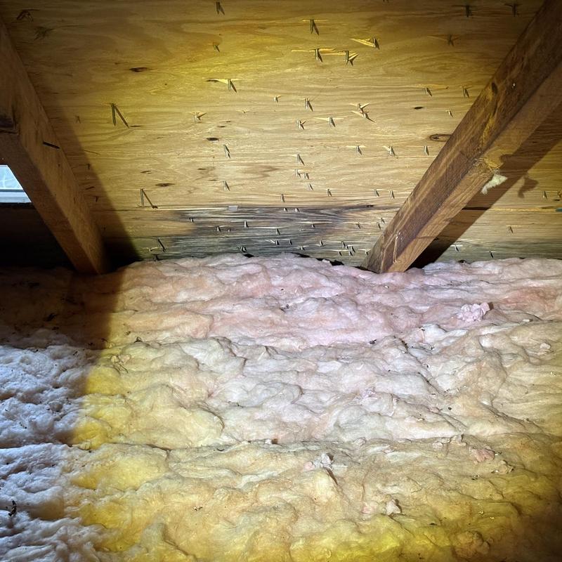 Roof sheathing with multiple nail pops and attic insulation